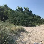 5 Person In *